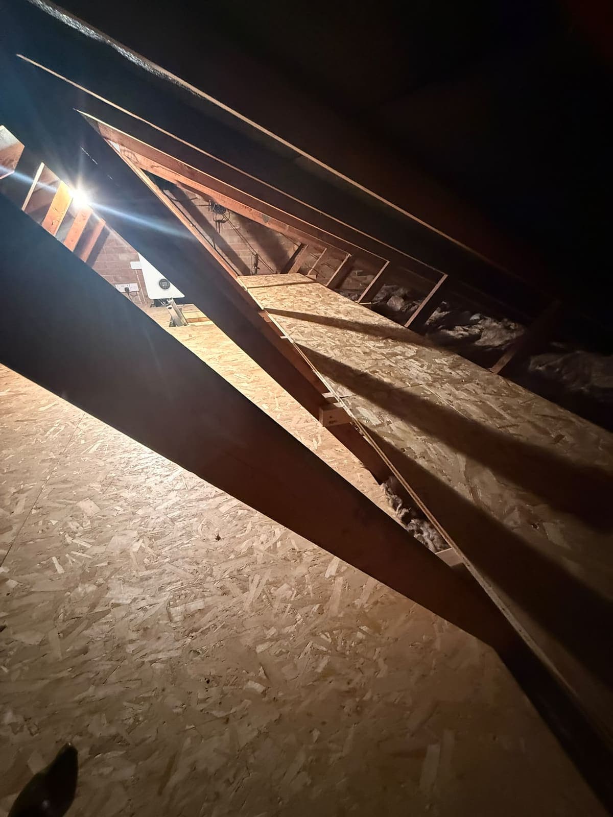 Shelving run along the eaves of a Sittingbourne loft