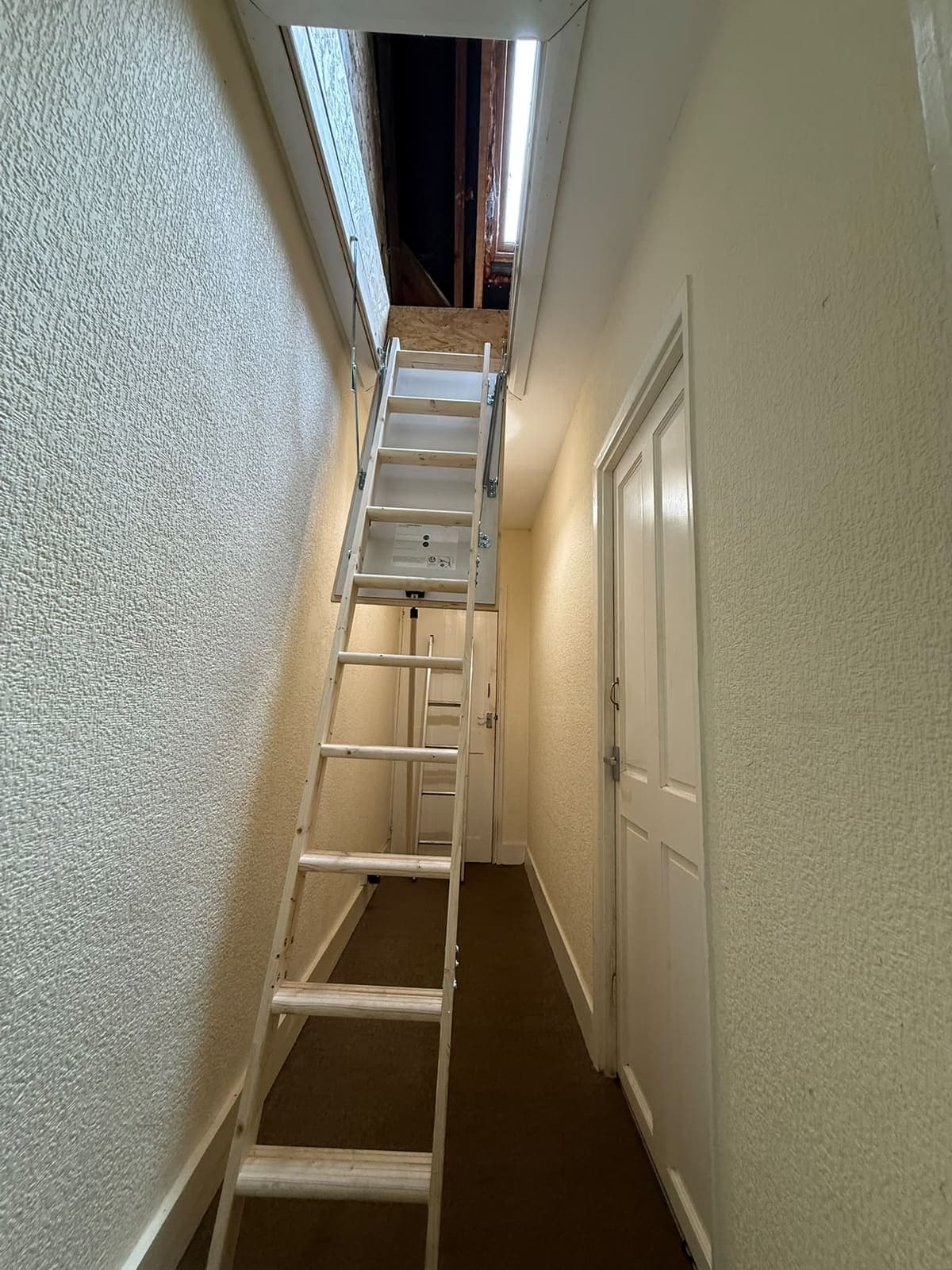 Deluxe wooden loft ladder down in the hallway